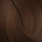 Chestnut