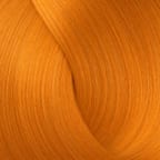 Citrus Orange