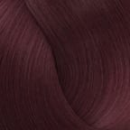 Merlot Wine