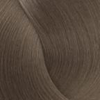 Mushroom Brown