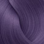 Orchid Purple