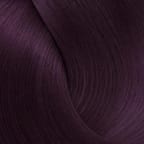Purple Plum